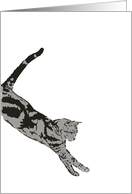 Tabby Cat Pouncing Blank card