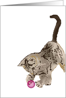 Tabby Kitten Playing With A Ball Blank card