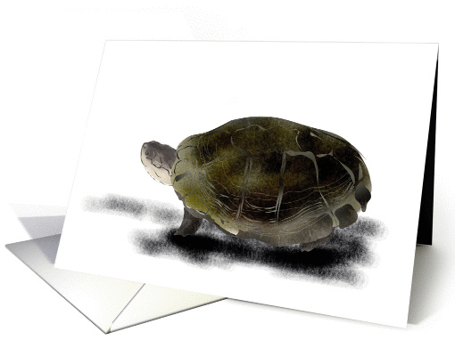 Blank note card, Illustration of African sideneck turtle card (997933)