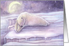 Sleeping Bear Polar Bear on a Twinkling Night Happy Holidays card