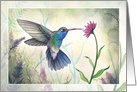 Hummingbird Watercolor All Occasion Blank card