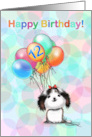 12 Year Old Happy Birthday Little Shih tzu Puppy with Colorful Balloon card