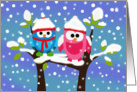 Blank Card - Two Cute Winter Owls card