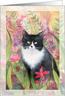 Tuxedo Cat in Colorful Garden Blank Any Occasion Blank card