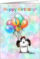 7 Year Old Happy Birthday Little Shih tzu Puppy with Colorful Balloon card