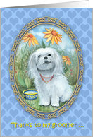 Thank You Groomer - Cute Maltese Dog card
