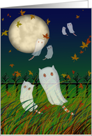 Fun Halloween Card - Ghost Cats - Orange Tabby card