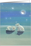 Blank Card - Cute Polar Bears in Snow card