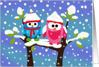 Blank Card - Two Cute Winter Owls card