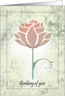 Thinking of You Card - Modern Rose card