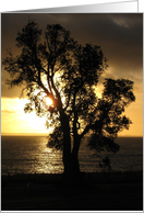 Australian beach at twilight card