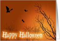 Happy Halloween Bats & Trees - Card