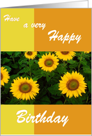 Sunflowers -...