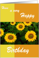 Sunflowers - Birthday Card