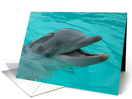 Dolphin Laugh card (1010823)
