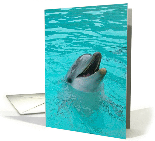 Playful Dolphin card (1011133)