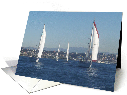 Sailboats on the Bay card (854835)