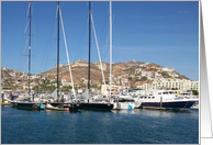 Dana Point, California card