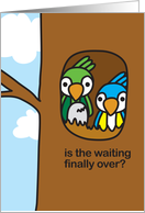 Congratulations On New Baby Girl, Zoe birth bird. card