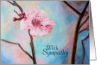 Cherry Blossom Sympathy card