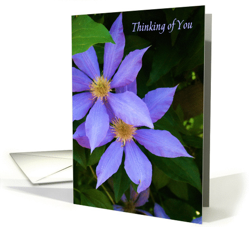 Thinking of you - Purple Flowers card (857095)