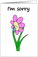 I'm Sorry I Hope You...