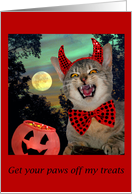 Halloween Scary Cat card