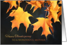 Happy Thanksgiving for Mother - Golden Maple Leaves card