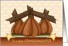 Happy Halloween for Granddaughter -Three Pumpkins in a Pumpkin Patch card