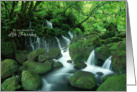 Happy Birthday for Life Partner - Waterfall in the Woods card
