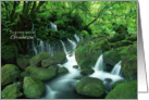 Happy Birthday for Grandson - Waterfall in the Woods card