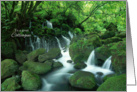 Happy Birthday for Colleague - Waterfall in the Woods card
