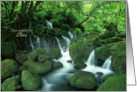 Happy Birthday for Boss - Waterfall in the Woods card