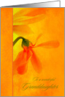 For Granddaughter Birthday Glowing Orange Flowers card