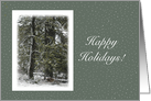 Christmas Happy Holidays ~ Trees in Winter Snow Scene card