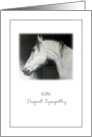 Pet Sympathy Loss of Horse card