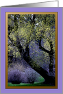 Arbor Day ~ Finch Arboretum Tree in Spring card