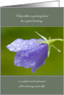 Sympathy Bellflower After the Rain card