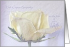 Sympathy Loss of Sister ~ Pencil Sketched Rose on Old Paper card