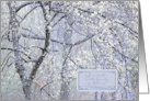 Christmas Surrender to the Beauty of Nature Sketched Trees in Winter card