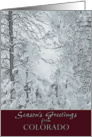 Season’s Greetings from Colorado Snow Covered Winter Trees card