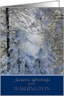 Season’s Greetings from Washington ~ Snow Covered Trees card