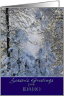 Season’s Greetings from Idaho ~ Snow Covered Winter Trees card