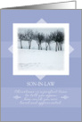 Merry Christmas to Son-in-Law ~ Orchard Trees in Winter card