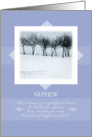 Merry Christmas to Nephew ~ Orchard Trees in Winter card
