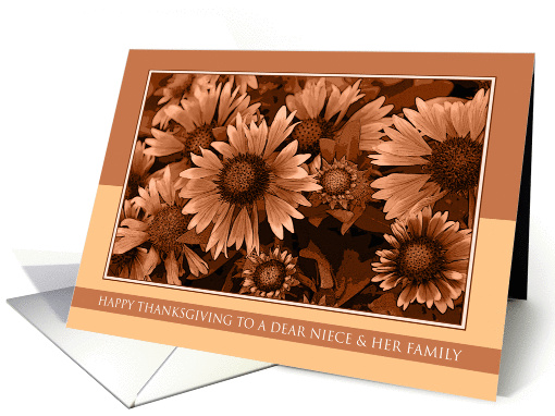 Happy Thanksgiving to Niece and her Family - Orange... (1024039)