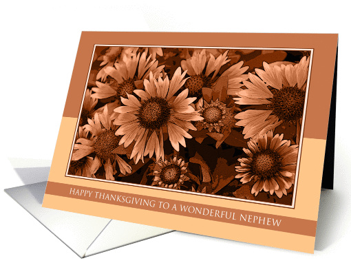 Happy Thanksgiving to a Wonderful Nephew - Orange Blanket Flowers card