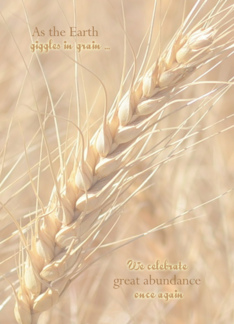 Lammas Day ~ First...