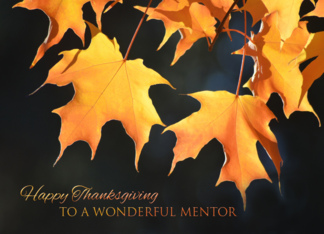 Thanksgiving for Mentor - Golden Maple Leaves