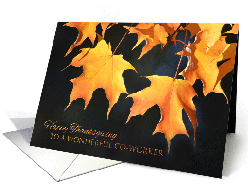 Thanksgiving for Co-Worker - Golden Maple Leaves card (1054973)
